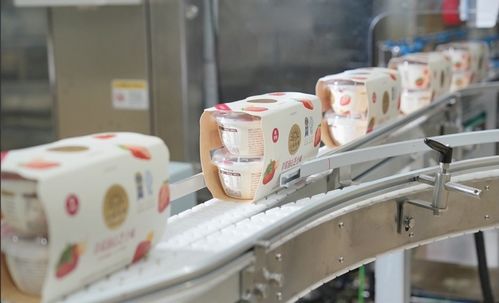 北海牧場首席運(yùn)營官王悅霖 公司已入駐超1萬家便利店，深耕一二線市場與創(chuàng)新渠道并進(jìn)